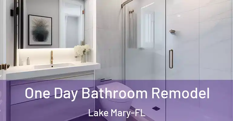 inner Bathroom imggen One Day Bathroom Remodel Lake Mary-FL