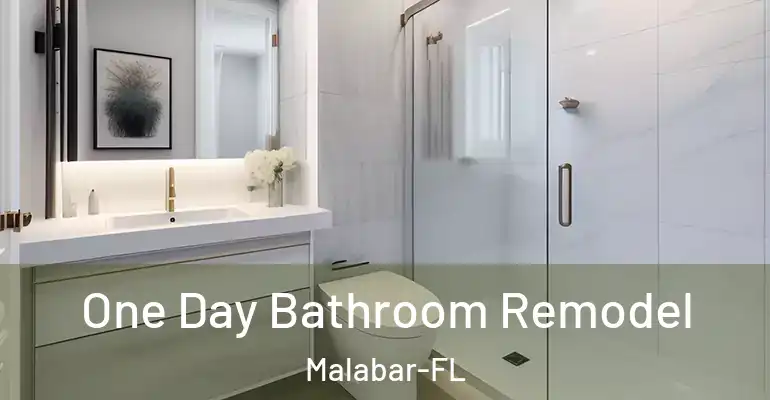 inner Bathroom imggen One Day Bathroom Remodel Malabar-FL