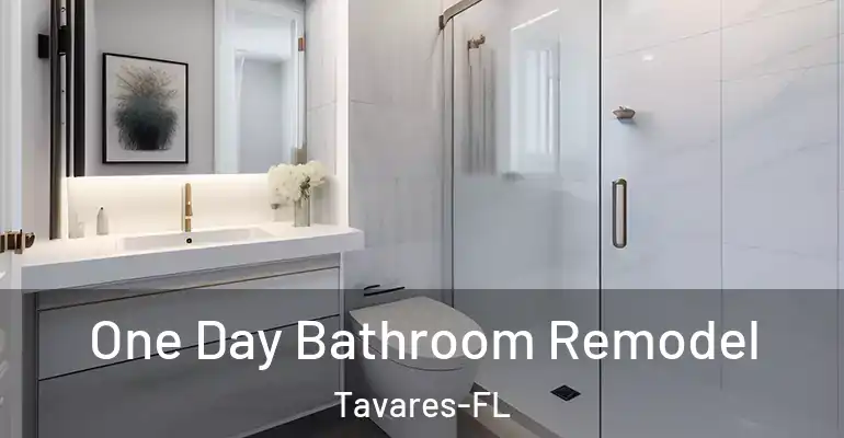 inner Bathroom imggen One Day Bathroom Remodel Tavares-FL
