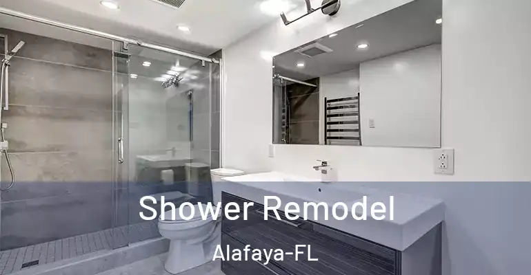 inner Bathroom imggen Shower Remodel Alafaya-FL