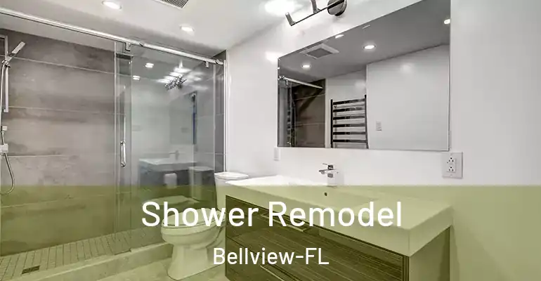 inner Bathroom imggen Shower Remodel Bellview-FL