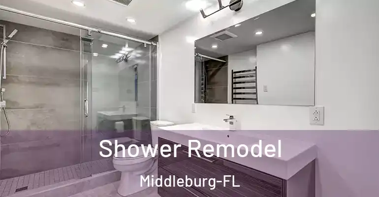 inner Bathroom imggen Shower Remodel Middleburg-FL