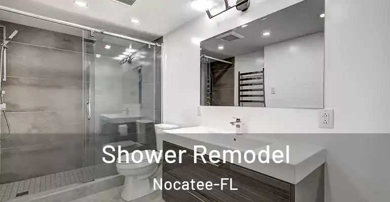 inner Bathroom imggen Shower Remodel Nocatee-FL