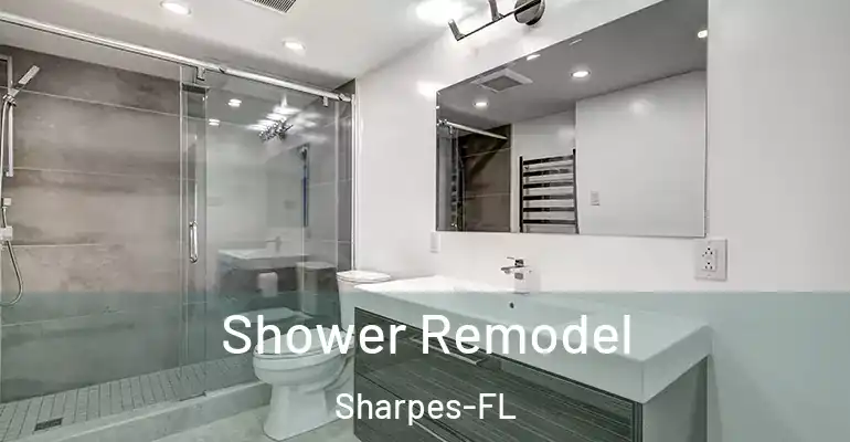 inner Bathroom imggen Shower Remodel Sharpes-FL