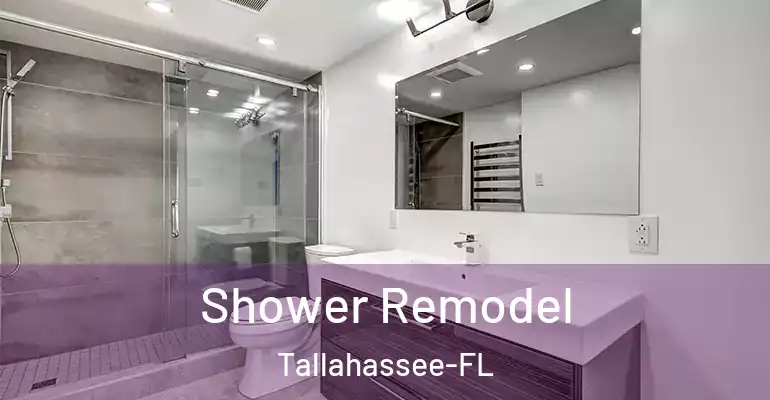 inner Bathroom imggen Shower Remodel Tallahassee-FL