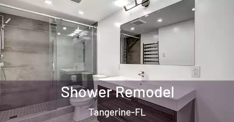 inner Bathroom imggen Shower Remodel Tangerine-FL