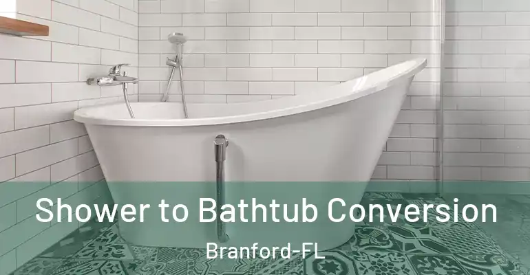 inner Bathroom imggen Shower to Bathtub Conversion Branford-FL