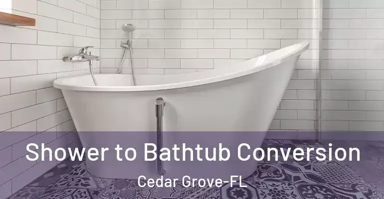 inner Bathroom imggen Shower to Bathtub Conversion Cedar Grove-FL