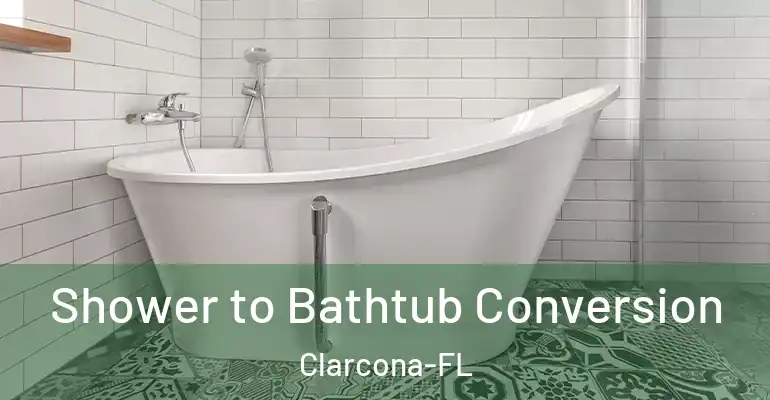inner Bathroom imggen Shower to Bathtub Conversion Clarcona-FL