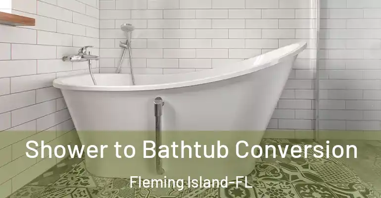 inner Bathroom imggen Shower to Bathtub Conversion Fleming Island-FL