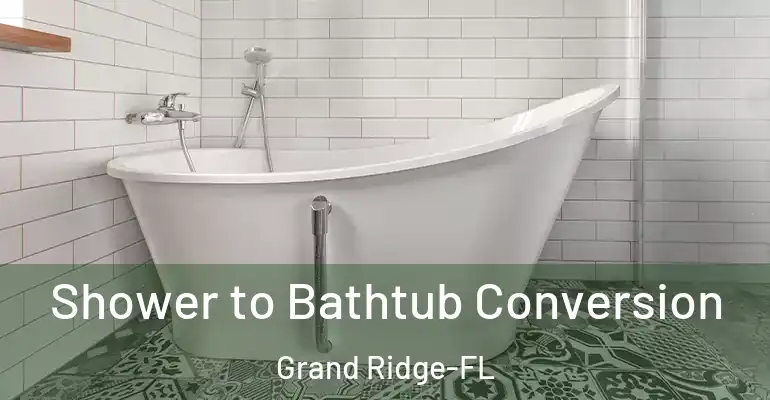 inner Bathroom imggen Shower to Bathtub Conversion Grand Ridge-FL