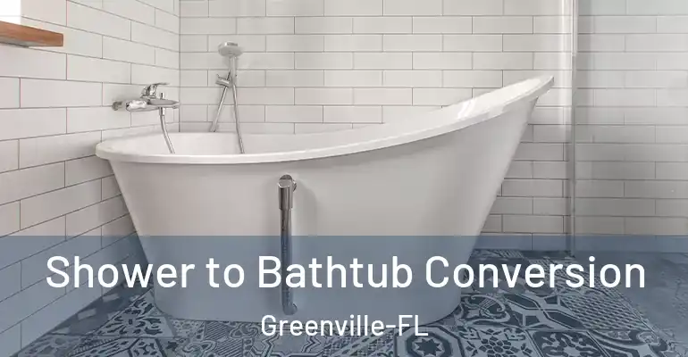 inner Bathroom imggen Shower to Bathtub Conversion Greenville-FL