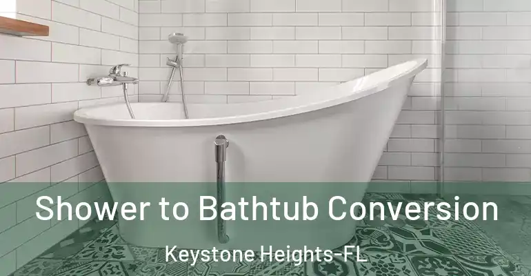 inner Bathroom imggen Shower to Bathtub Conversion Keystone Heights-FL