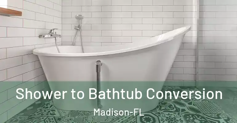 inner Bathroom imggen Shower to Bathtub Conversion Madison-FL