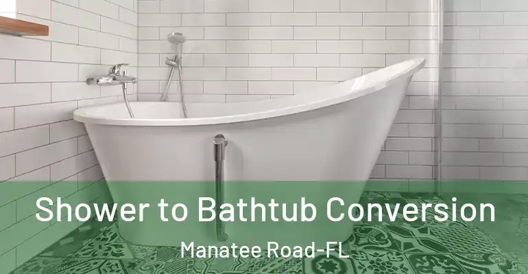 inner Bathroom imggen Shower to Bathtub Conversion Manatee Road-FL