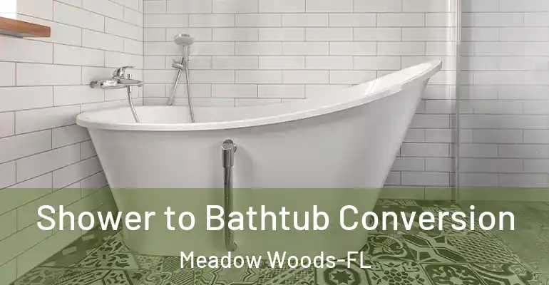 inner Bathroom imggen Shower to Bathtub Conversion Meadow Woods-FL