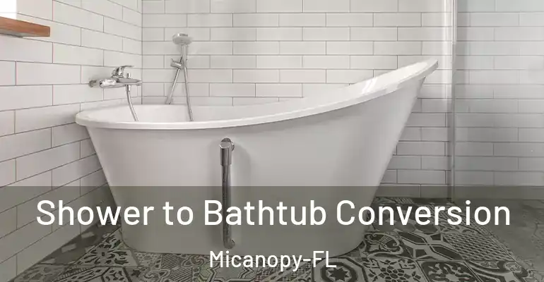 inner Bathroom imggen Shower to Bathtub Conversion Micanopy-FL
