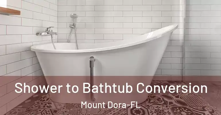 inner Bathroom imggen Shower to Bathtub Conversion Mount Dora-FL