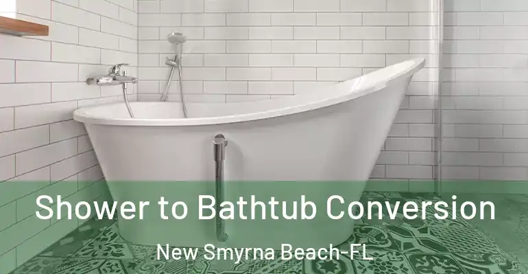 inner Bathroom imggen Shower to Bathtub Conversion New Smyrna Beach-FL