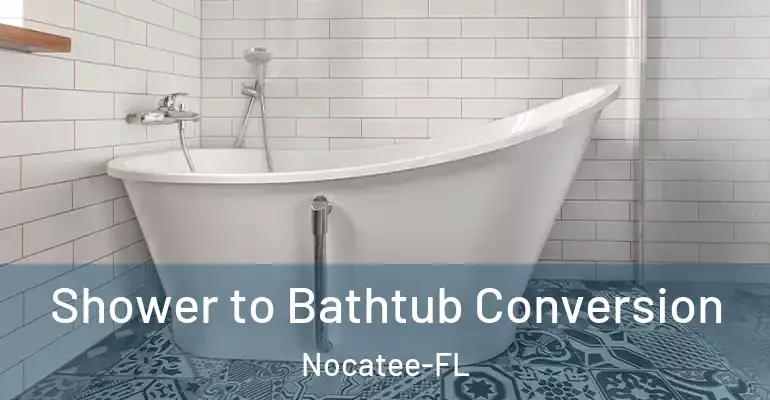 inner Bathroom imggen Shower to Bathtub Conversion Nocatee-FL