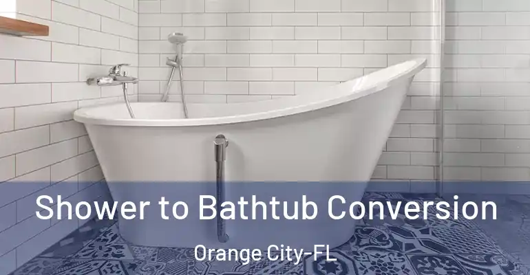inner Bathroom imggen Shower to Bathtub Conversion Orange City-FL