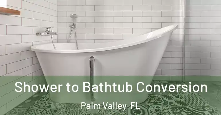 inner Bathroom imggen Shower to Bathtub Conversion Palm Valley-FL