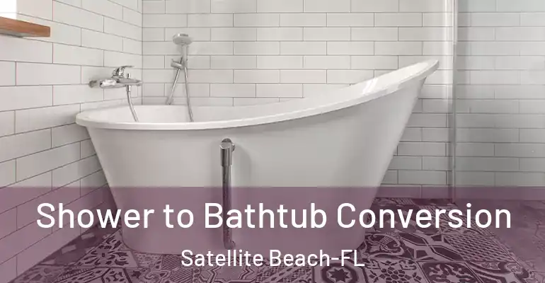 inner Bathroom imggen Shower to Bathtub Conversion Satellite Beach-FL