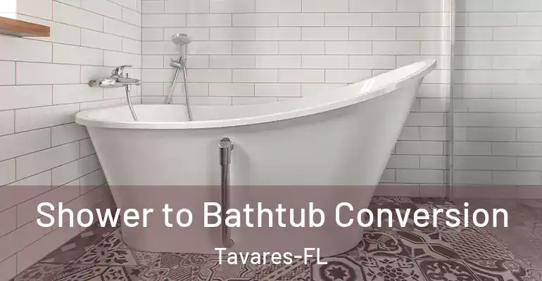 inner Bathroom imggen Shower to Bathtub Conversion Tavares-FL