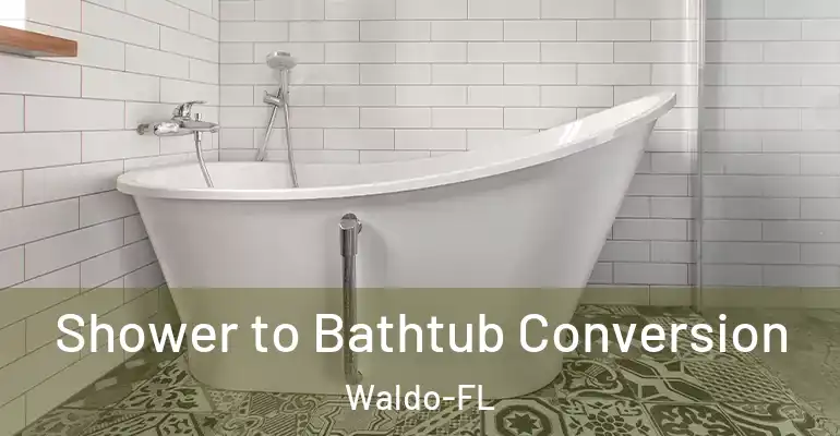 inner Bathroom imggen Shower to Bathtub Conversion Waldo-FL
