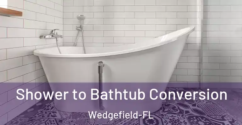 inner Bathroom imggen Shower to Bathtub Conversion Wedgefield-FL