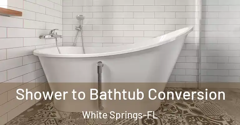 inner Bathroom imggen Shower to Bathtub Conversion White Springs-FL