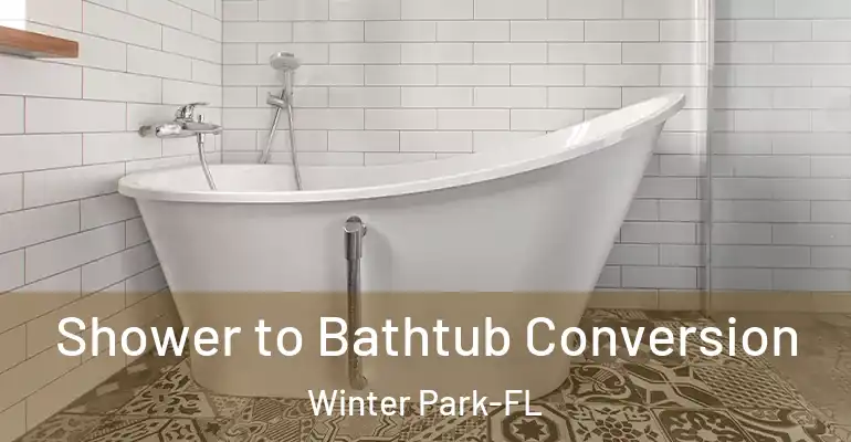 inner Bathroom imggen Shower to Bathtub Conversion Winter Park-FL