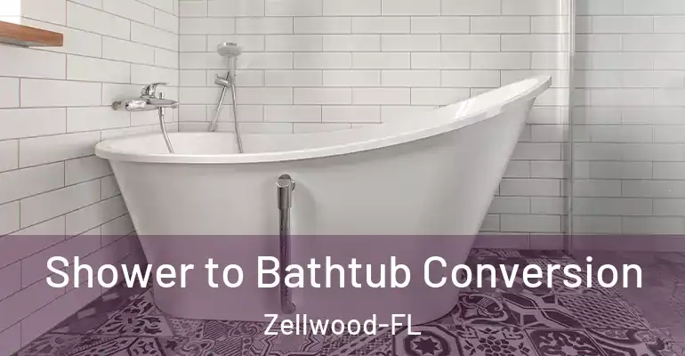 inner Bathroom imggen Shower to Bathtub Conversion Zellwood-FL