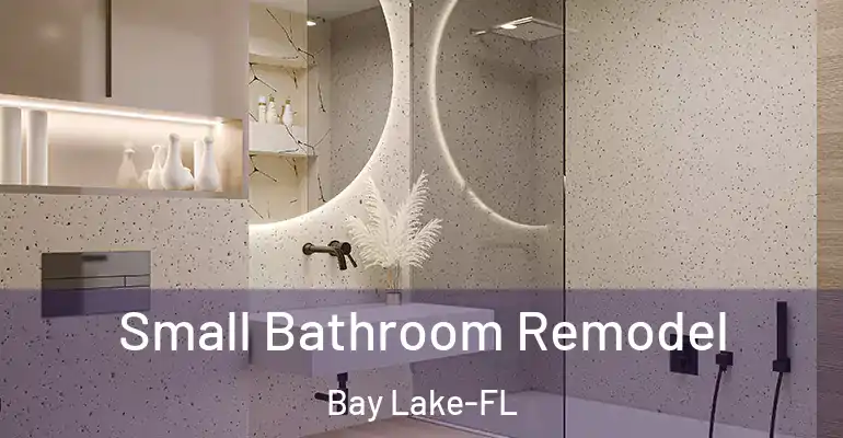inner Bathroom imggen Small Bathroom Remodel Bay Lake-FL