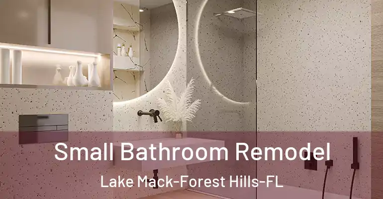 inner Bathroom imggen Small Bathroom Remodel Lake Mack-Forest Hills-FL