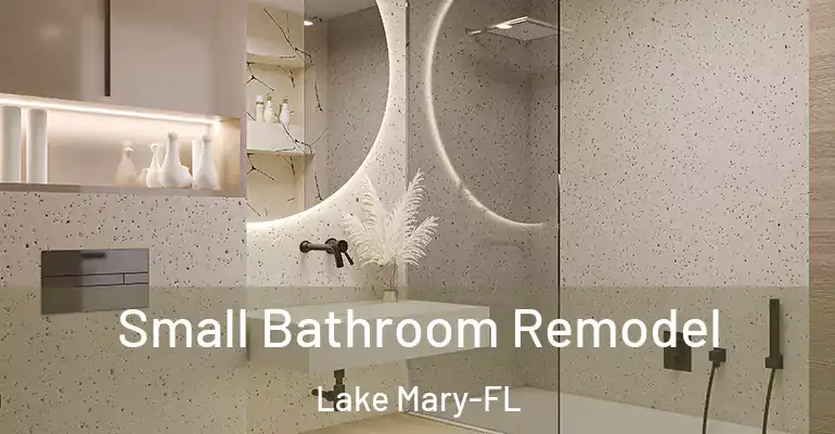 inner Bathroom imggen Small Bathroom Remodel Lake Mary-FL