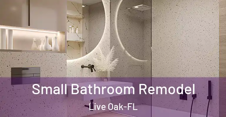 inner Bathroom imggen Small Bathroom Remodel Live Oak-FL