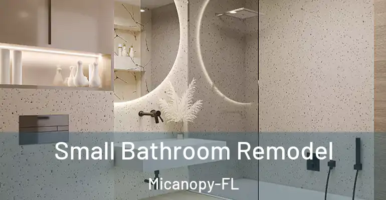 inner Bathroom imggen Small Bathroom Remodel Micanopy-FL