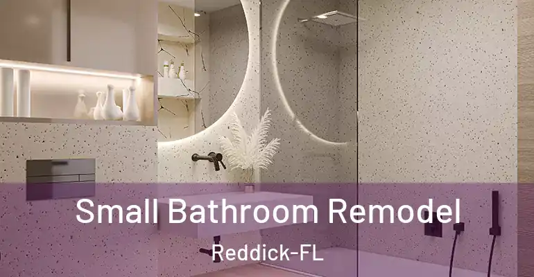 inner Bathroom imggen Small Bathroom Remodel Reddick-FL