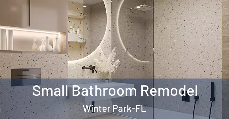 inner Bathroom imggen Small Bathroom Remodel Winter Park-FL