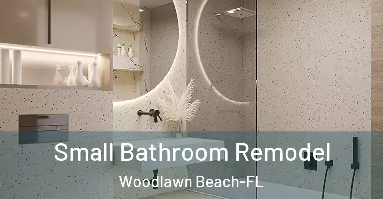 inner Bathroom imggen Small Bathroom Remodel Woodlawn Beach-FL