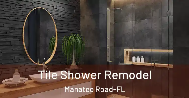 inner Bathroom imggen Tile Shower Remodel Manatee Road-FL