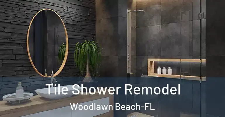 inner Bathroom imggen Tile Shower Remodel Woodlawn Beach-FL