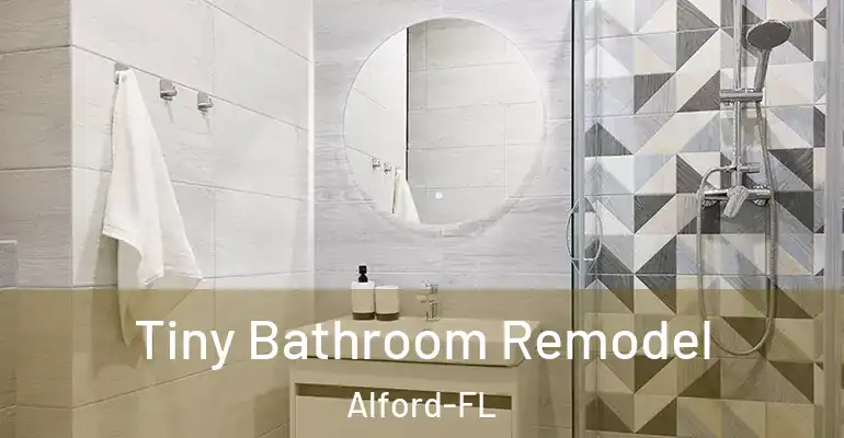 inner Bathroom imggen Tiny Bathroom Remodel Alford-FL