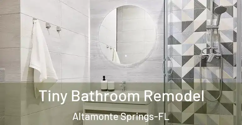 inner Bathroom imggen Tiny Bathroom Remodel Altamonte Springs-FL
