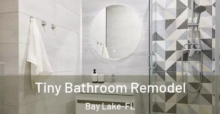 inner Bathroom imggen Tiny Bathroom Remodel Bay Lake-FL