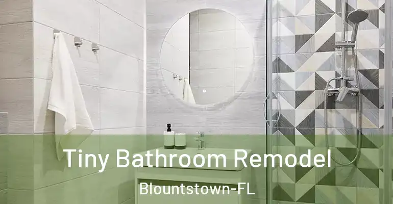 inner Bathroom imggen Tiny Bathroom Remodel Blountstown-FL