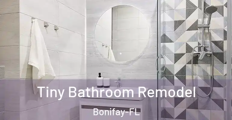 inner Bathroom imggen Tiny Bathroom Remodel Bonifay-FL