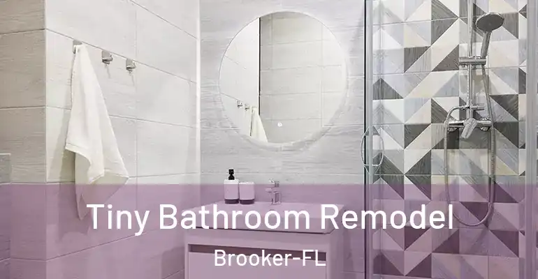 inner Bathroom imggen Tiny Bathroom Remodel Brooker-FL