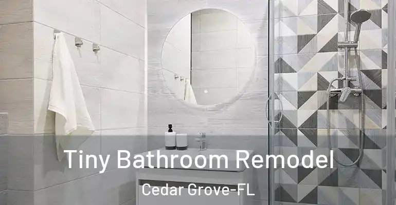 inner Bathroom imggen Tiny Bathroom Remodel Cedar Grove-FL
